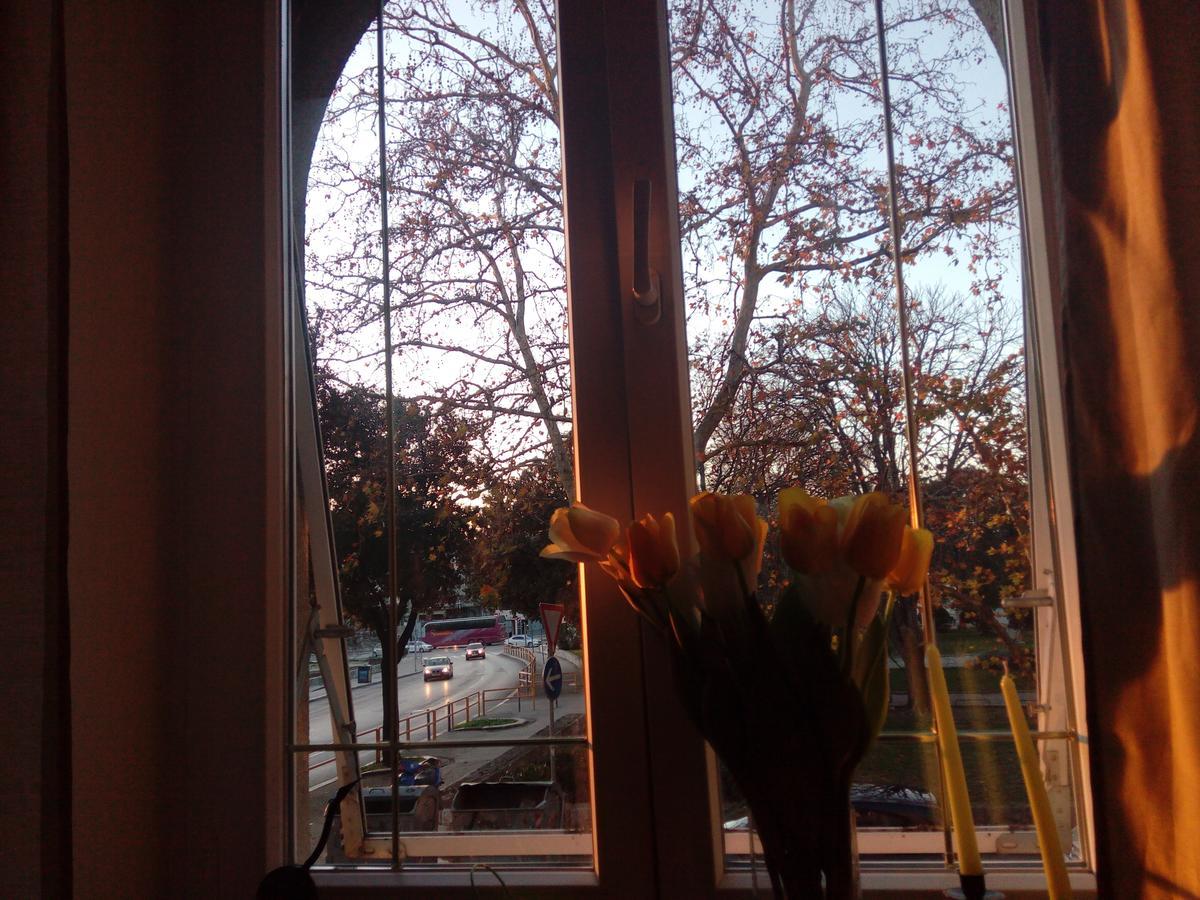 Optimist/city Break Appartement